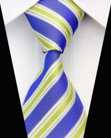 Silk Polyester Tie Classic Man's Option 9