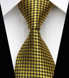 Elegant Silk Polyester Man Business Wedding  Tie Option 7