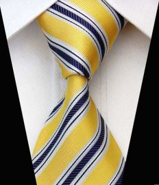 Elegant Silk Polyester Man Business Wedding  Tie Option 9