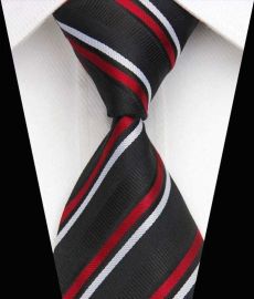 Elegant Silk Polyester Man Business Wedding  Tie Option 20