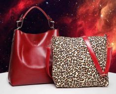 Ladies Crossbody Bags