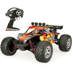 Feiyue FY11 1/12 2.4G 2CH Amphibious Long Distance Control Crawler RC Car