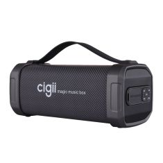 CIGII F62D 10W Portable bluetooth Speaker Noise Reduction Outdoor Headset Support FM Radio USB AUX With Strap A2DP Wireless